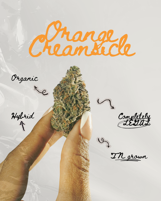 Orange Creamsicle