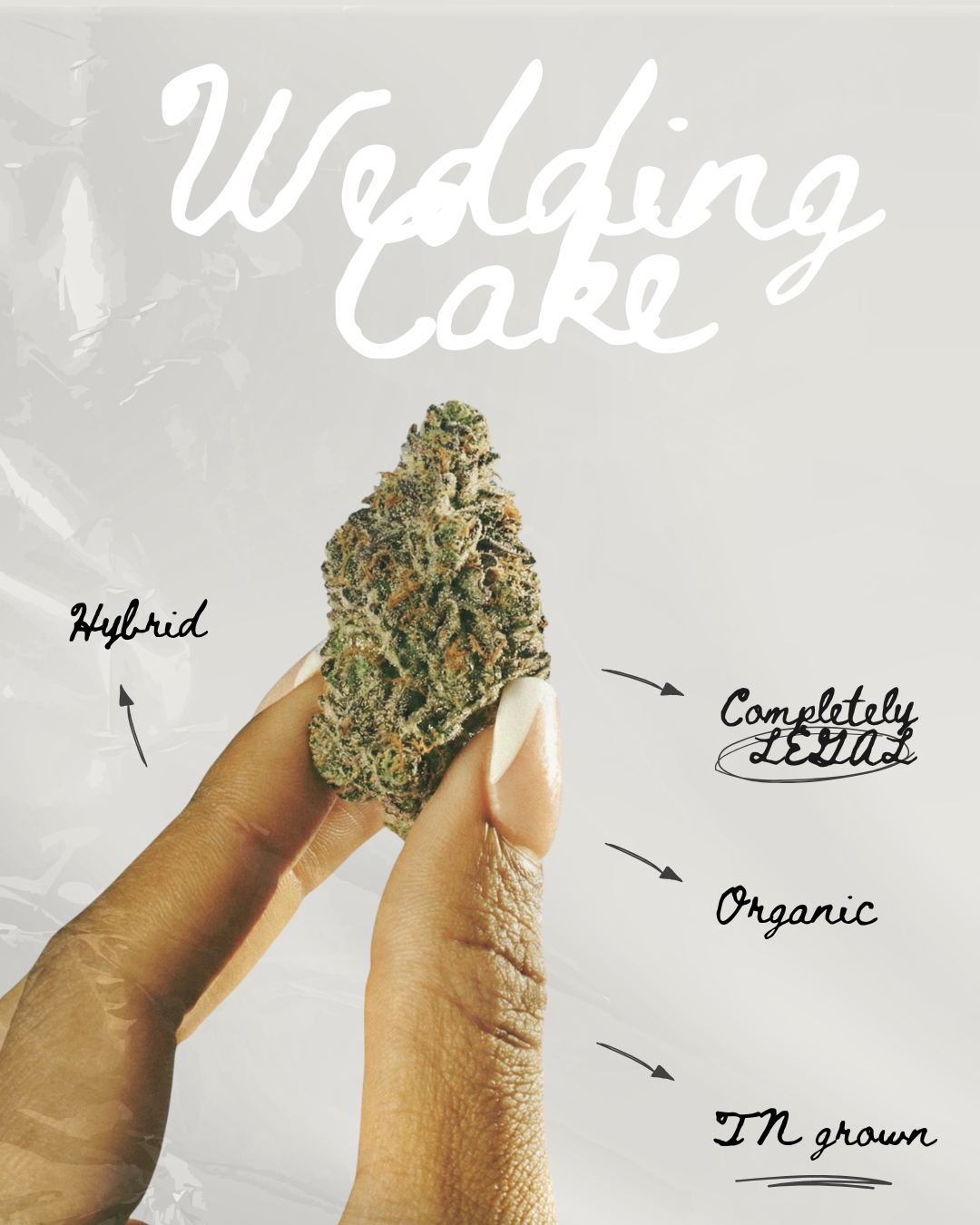 Wedding Cake THC-A Flower
