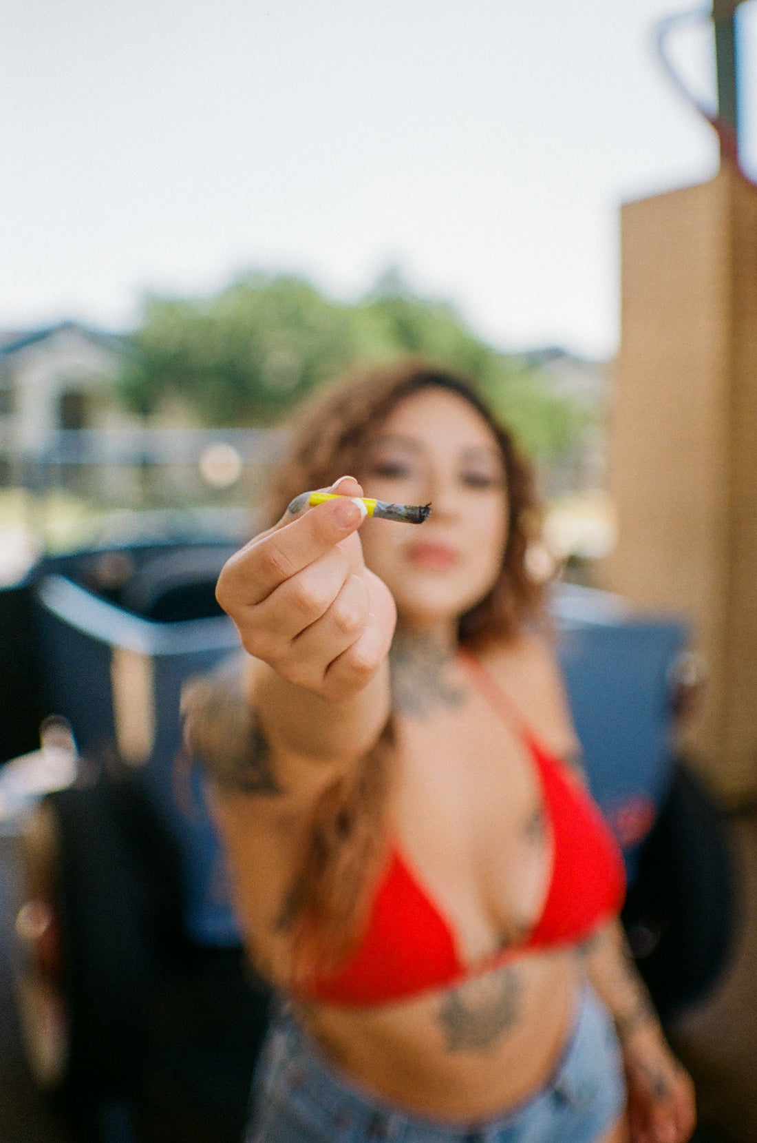 What Is Delta 9 THC? Everything You Need to Know