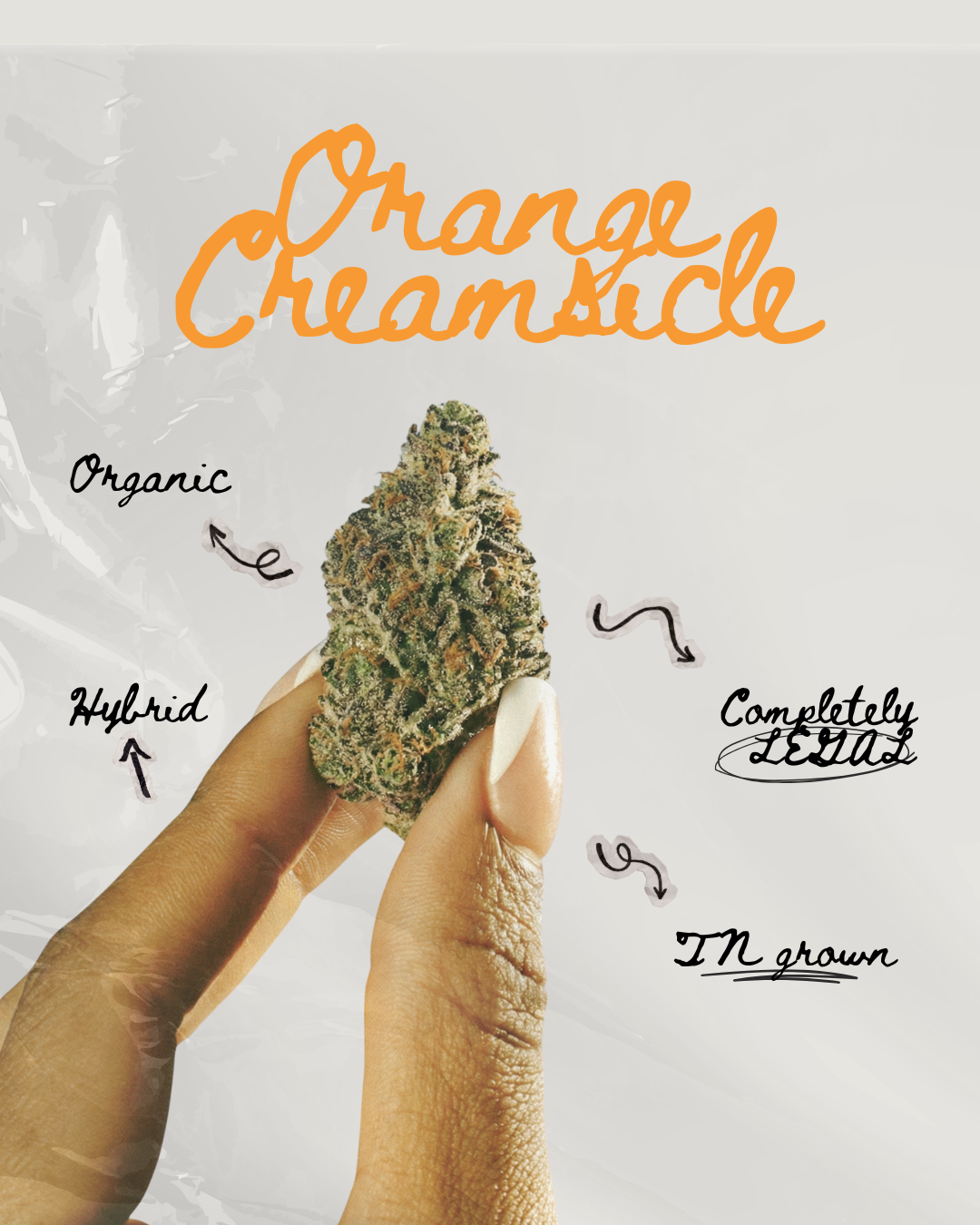 Orange Creamsicle