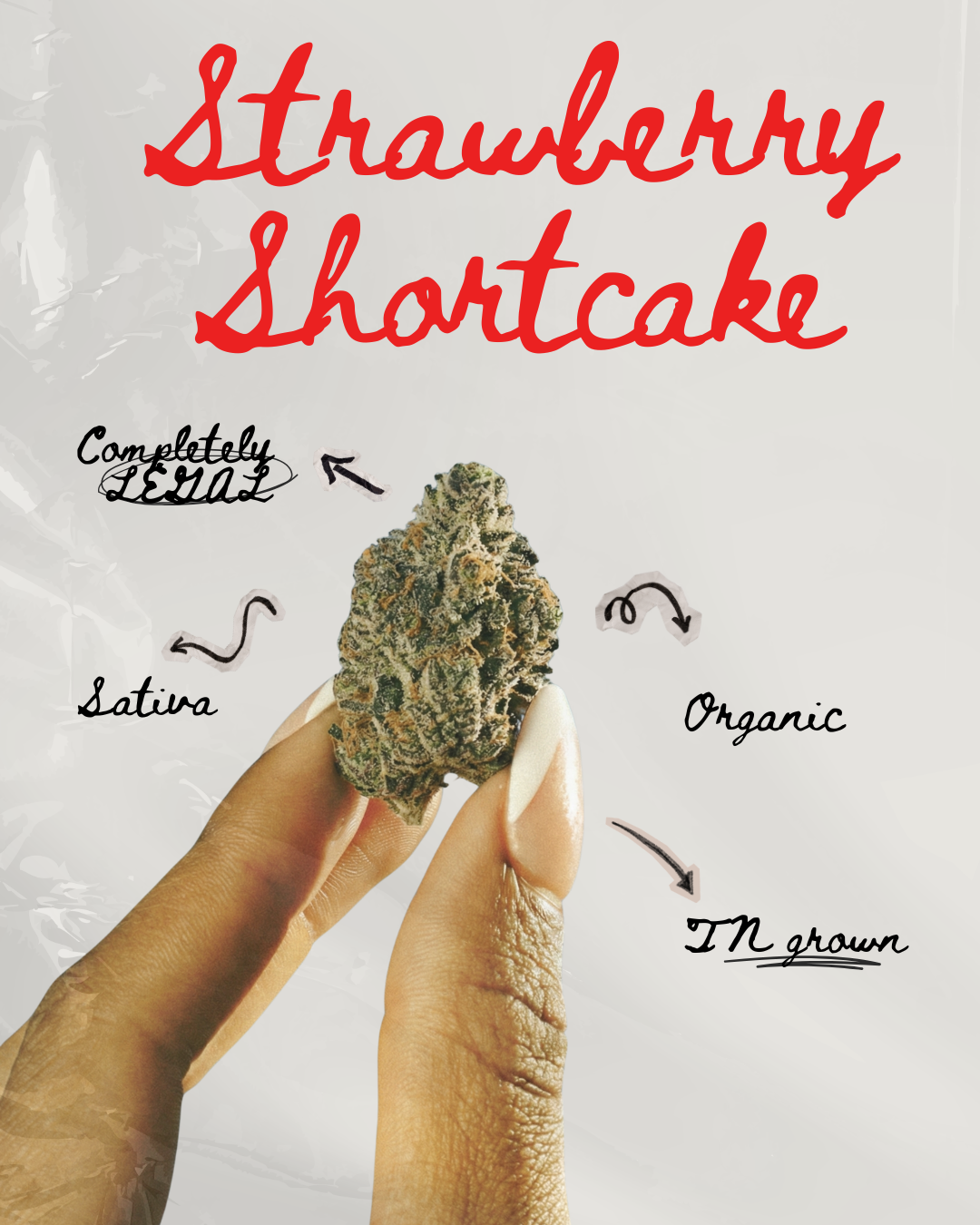 Strawberry Shortcake