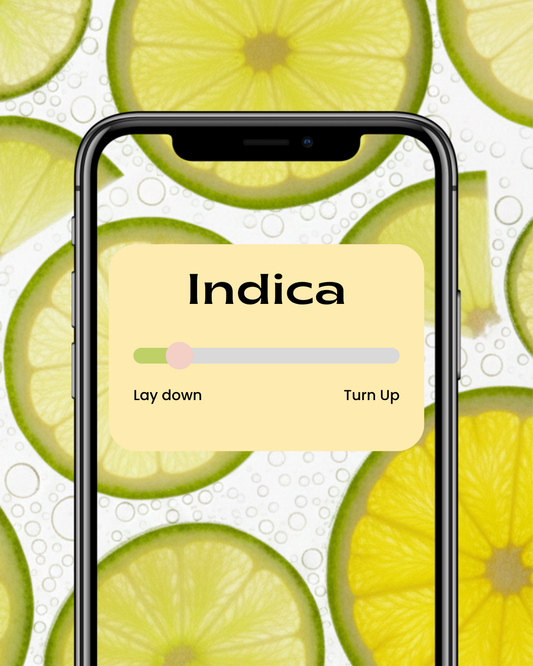 Key Lime Pie THC-A Pre-roll